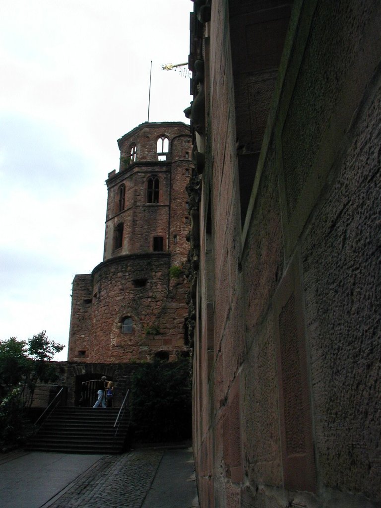 134-Schloss Heidelburg architecture.JPG