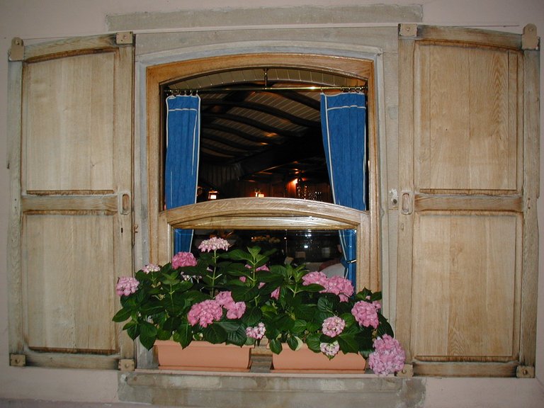 226-Flowers and window in Strasbourg.JPG