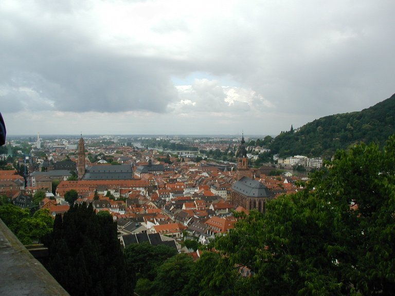 137-View of Heidelburg from the castle.JPG