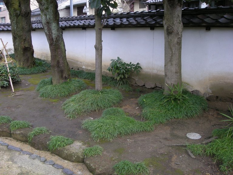 118-Kanazawa garden.JPG