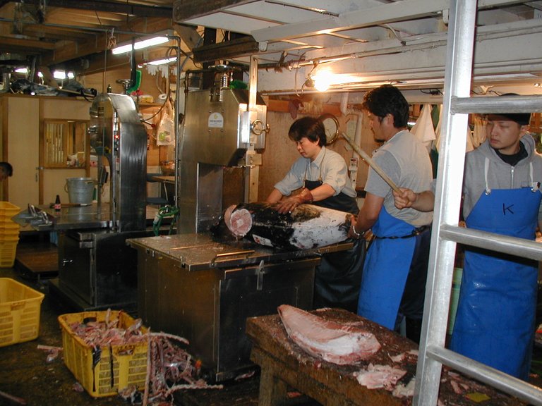 116 - Sawing tuna into pieces at Tsukiji Market.  On this trip, I saw what I believe was a record tuna caught in Spanish waters. It sold for some obscene number (my bad memory says 36,000,000¥).  Unfortunately, I didn't take a picture because my Japanese co-workers were essentially running away from me while the guy was telling me this info.