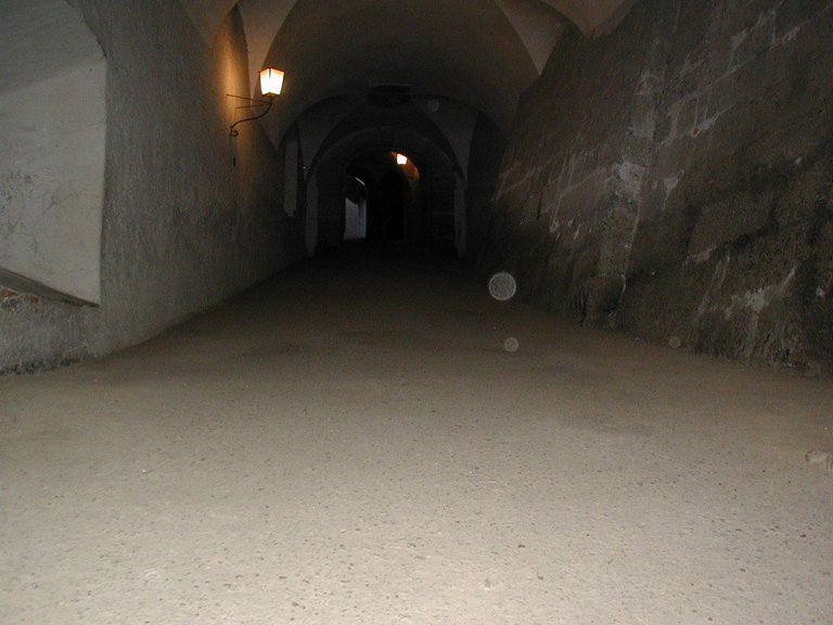 036-The long hallway in Castle.JPG