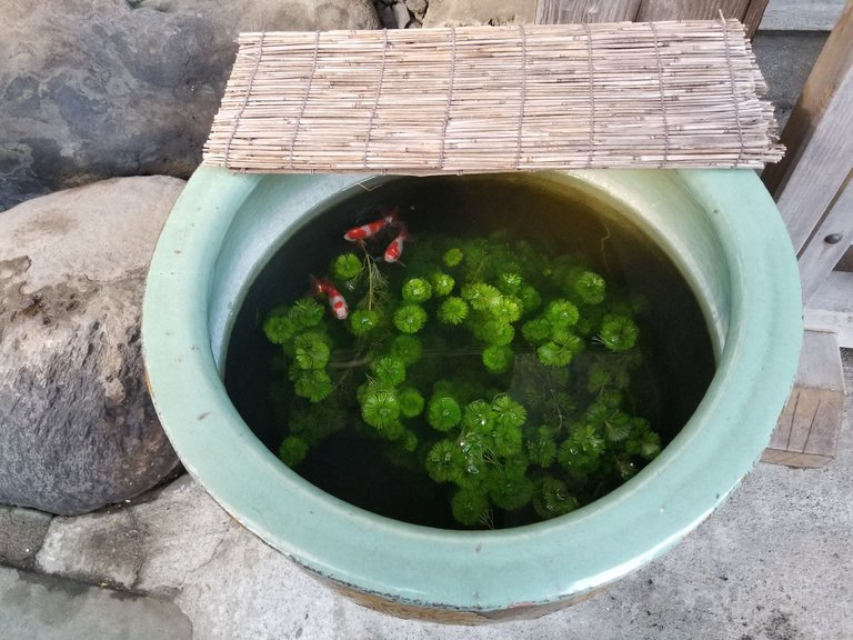 20180428_075603.jpg