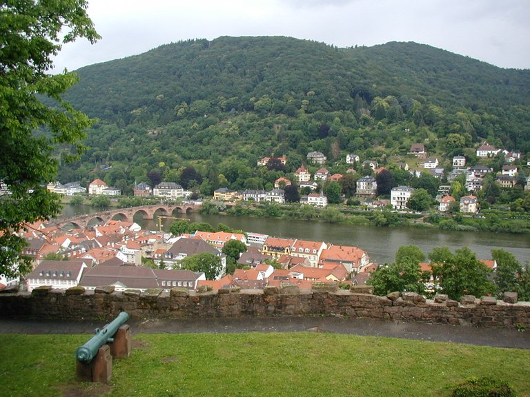 133-View from Schloss Heidelburg.JPG