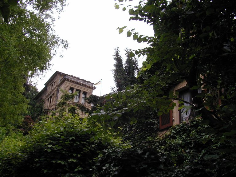 153-Houses on descent from Schloss Heidelburg.JPG