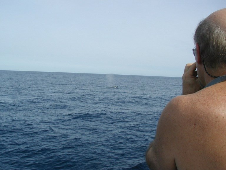 Humpback and Dad.JPG