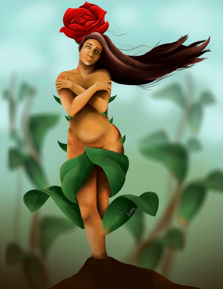 flor.jpg
