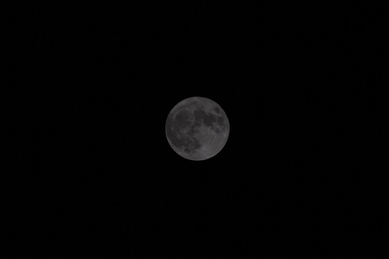 IMG_3247.jpg