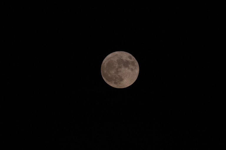 IMG_2937.jpg