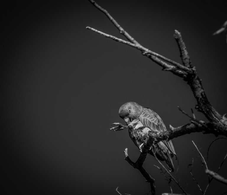IMG_5690 (2).jpg