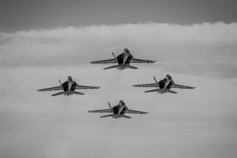 IMG_0833 (4).jpg