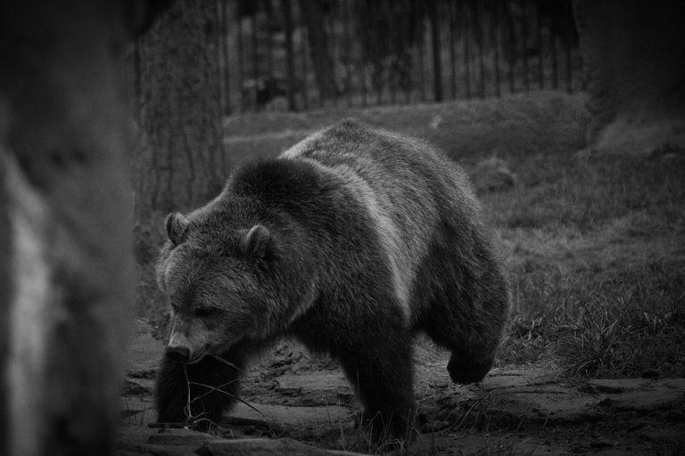 IMG_7210 (3).jpg