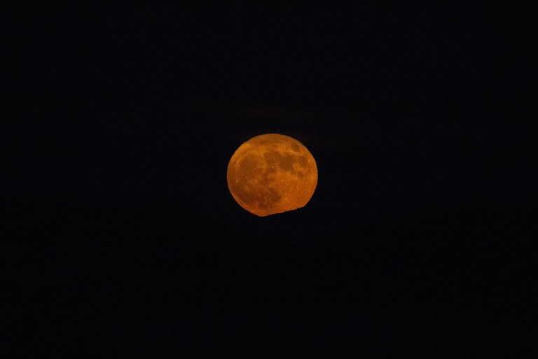 IMG_2866.jpg