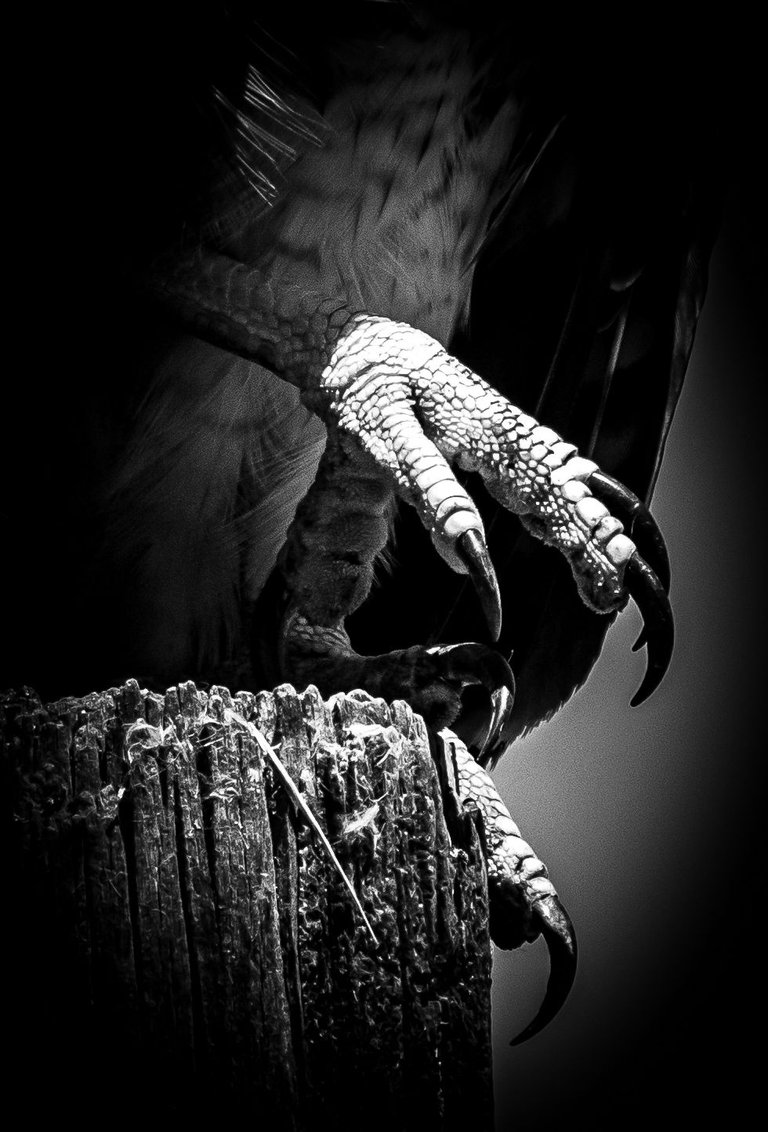 IMG_0269 (2).jpg