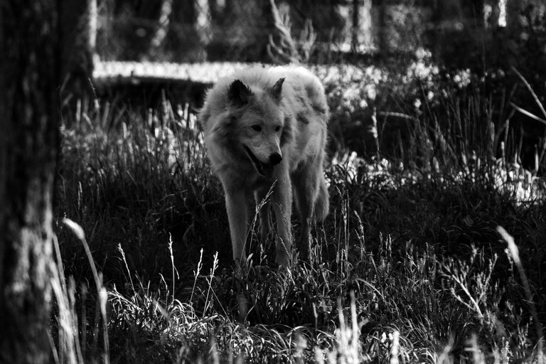 IMG_6150 (1).jpg
