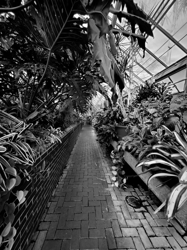 20220906_153423 (1).jpg