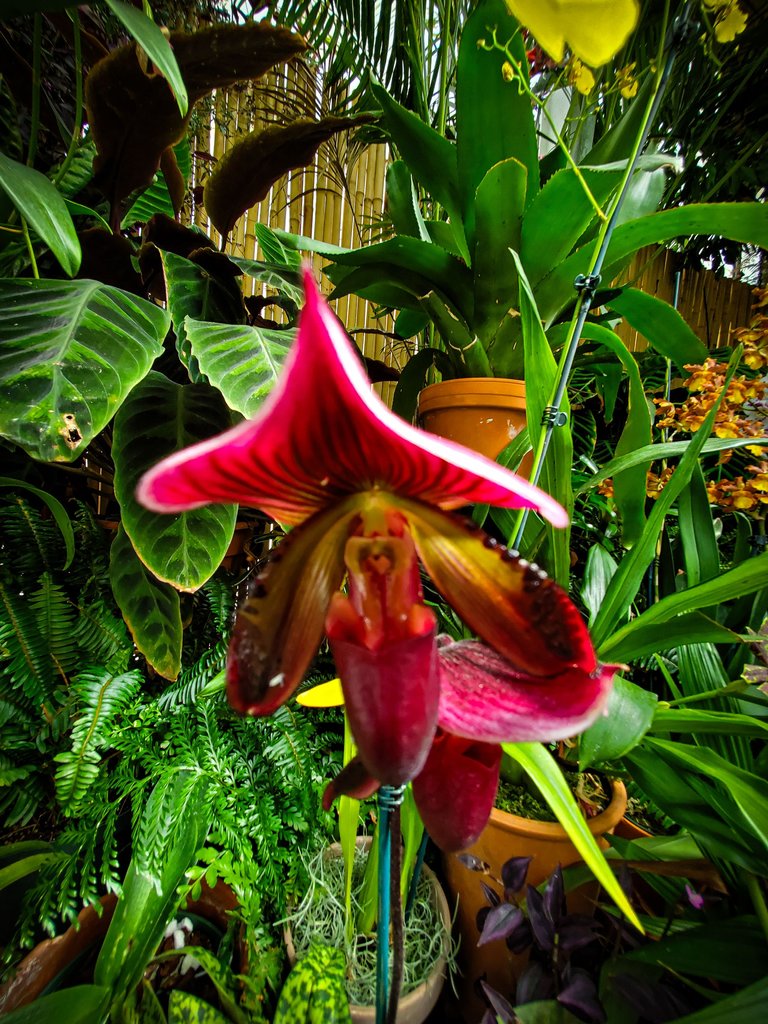 20220906_153841.jpg