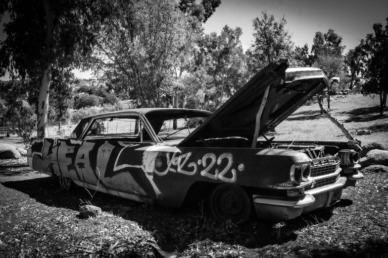 IMG_1652 (4).jpg