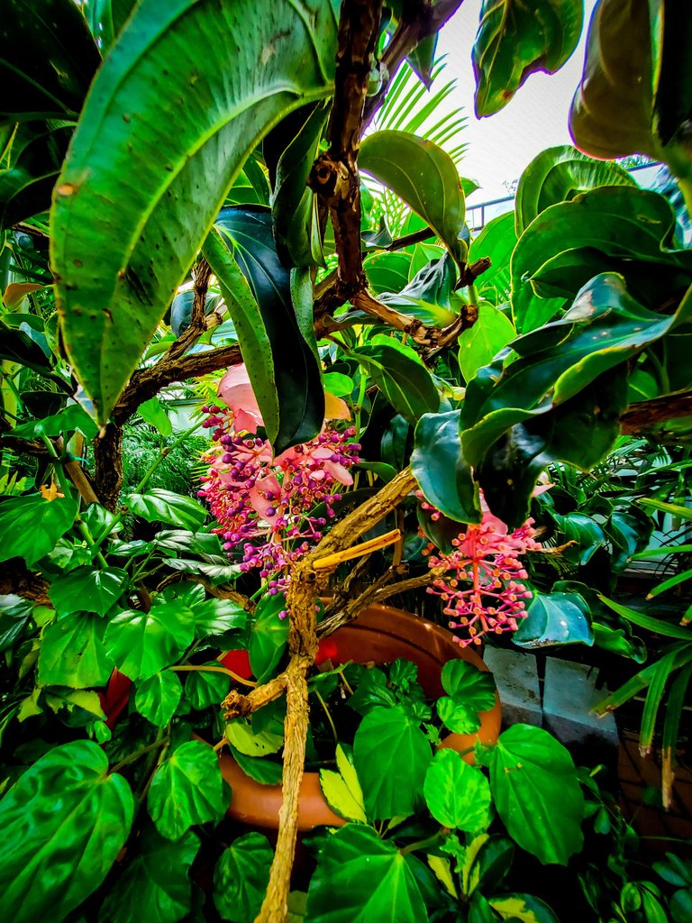 20220906_153636.jpg
