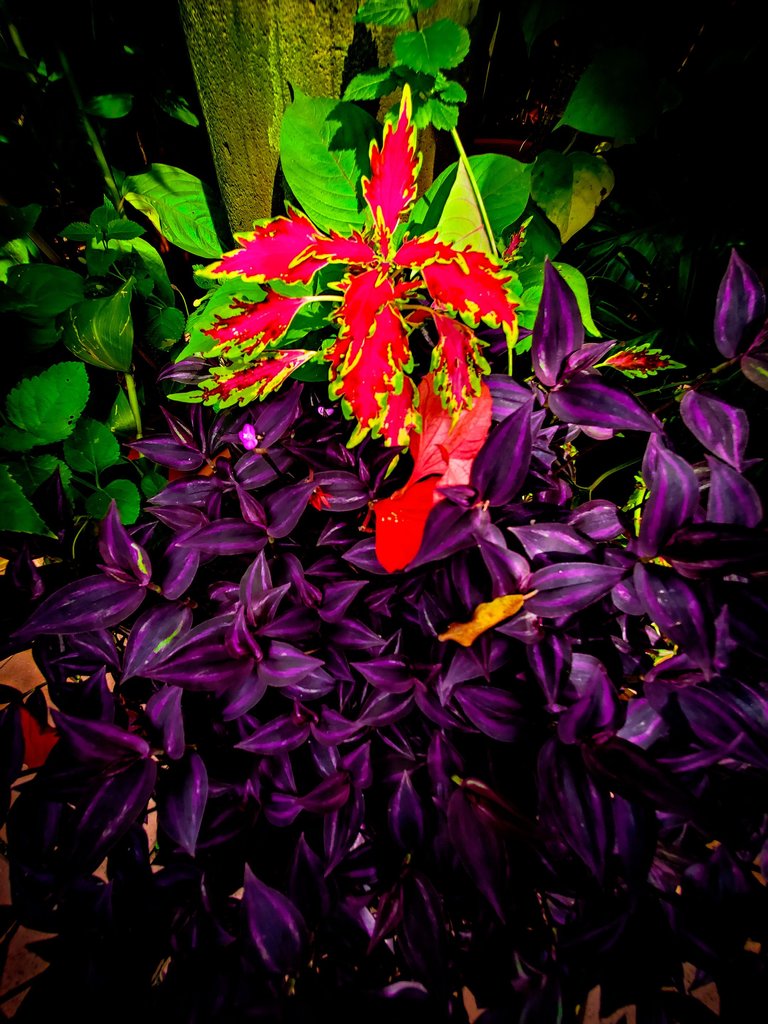 20220906_153537.jpg