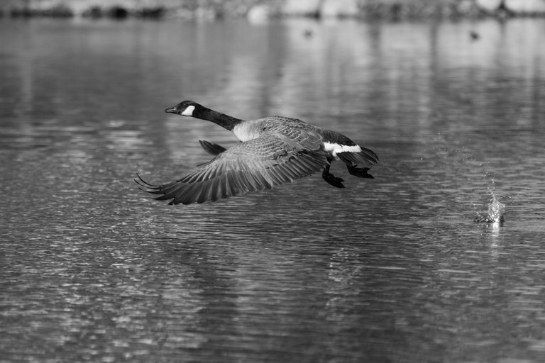 IMG_0383 (7).jpg