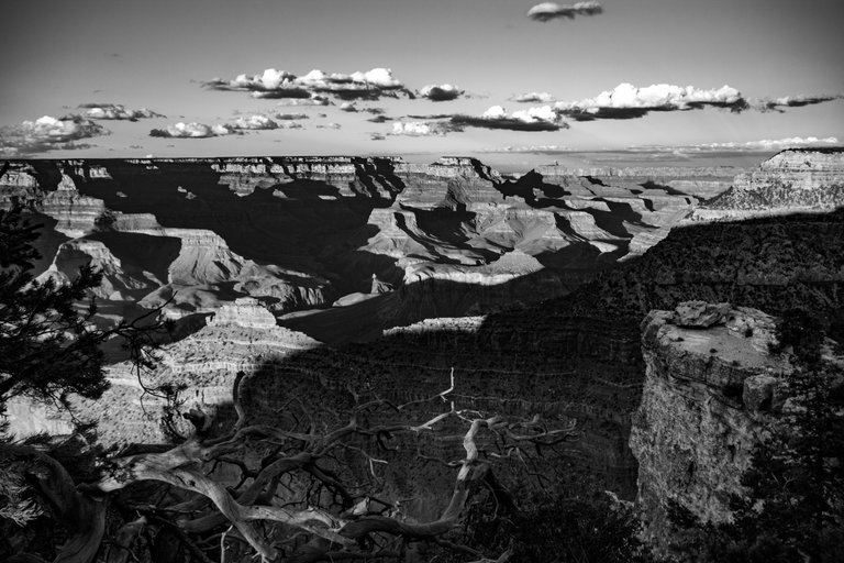 IMG_5019 (5).jpg