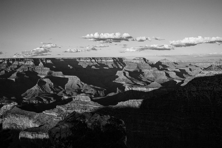 IMG_5003 (4).jpg