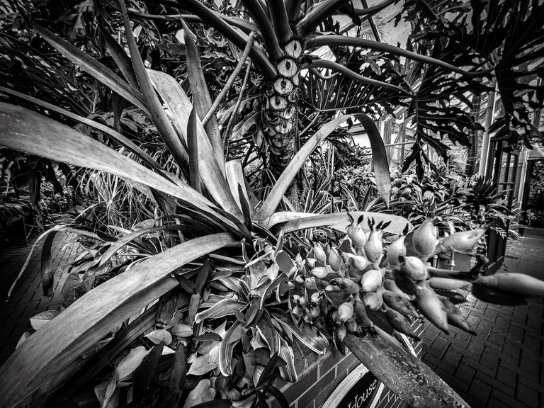20220906_153408 (1).jpg
