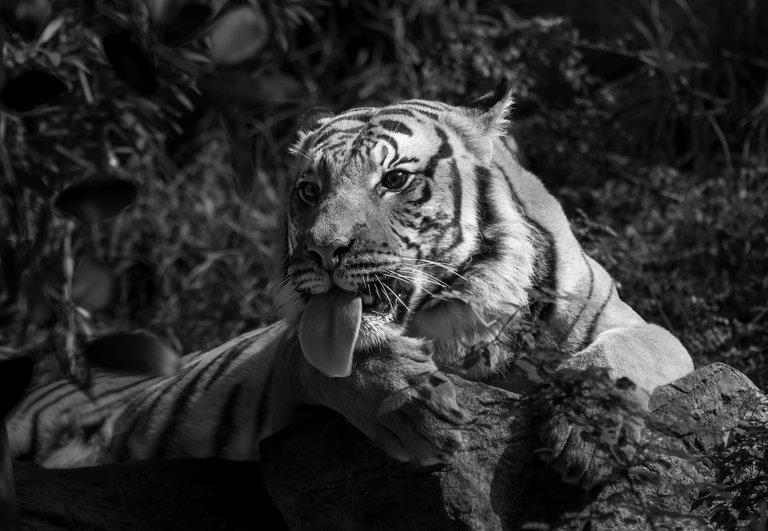 IMG_1041 (3).jpg