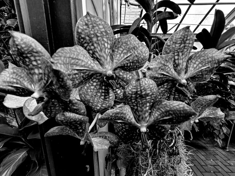 20220906_153316 (1).jpg