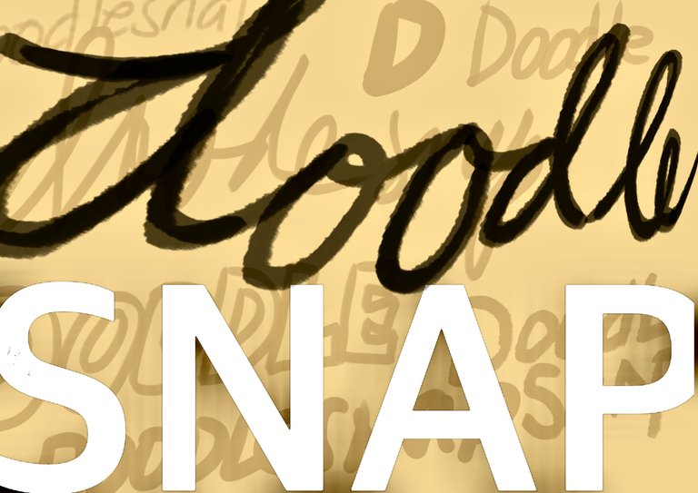 doodlesnap logo.jpg