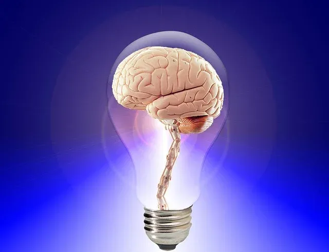 brain-20424_640.webp