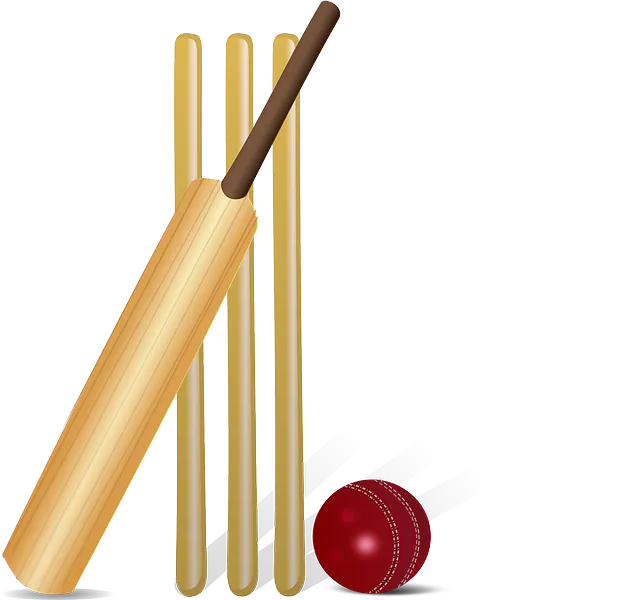 cricket-155965_640.webp