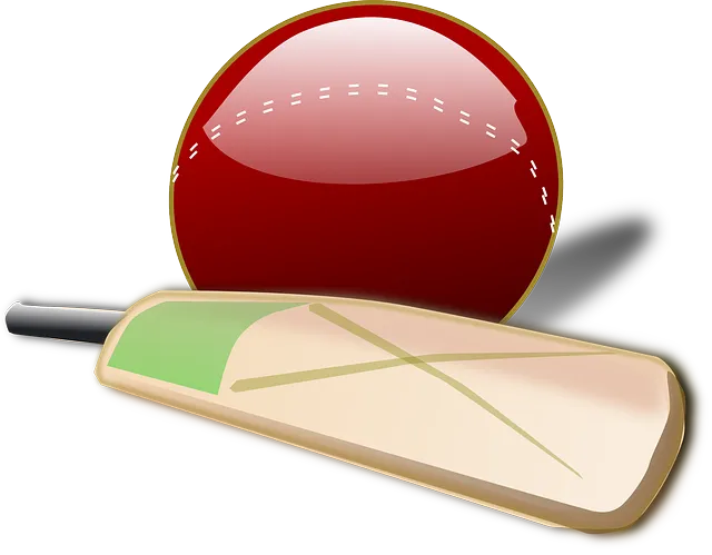 cricket-150561_640.webp