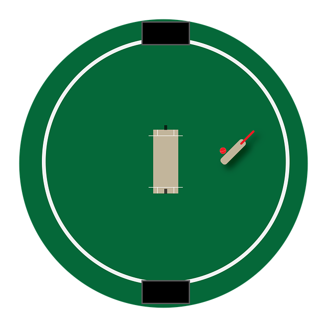cricket-ground-3679905_640.png