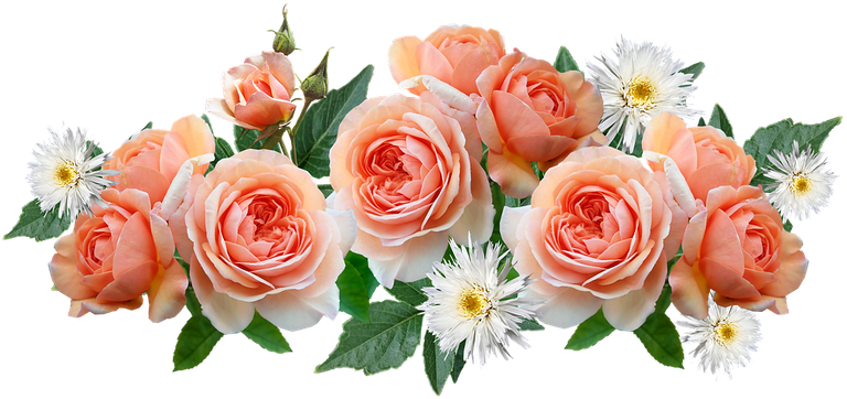 flowers-4946256__480.png