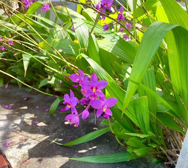 F8B8314E-2460-4DD4-8DA0-8C295F59BEE9.jpeg