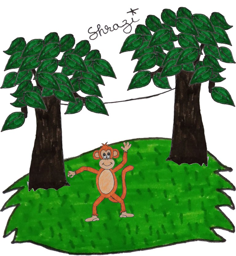 monkey in the jungle Drawing by me