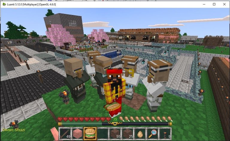 Selfie with Villagers (Luanti, Minetest)
