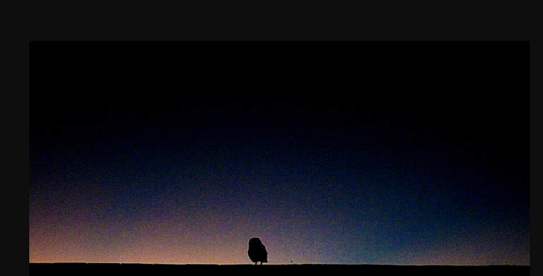 Screenshot 20200419 at 10.18.23 PM.png