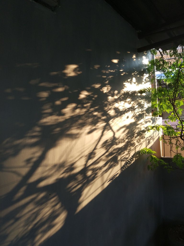 Shadows on the Porch 01.jpg