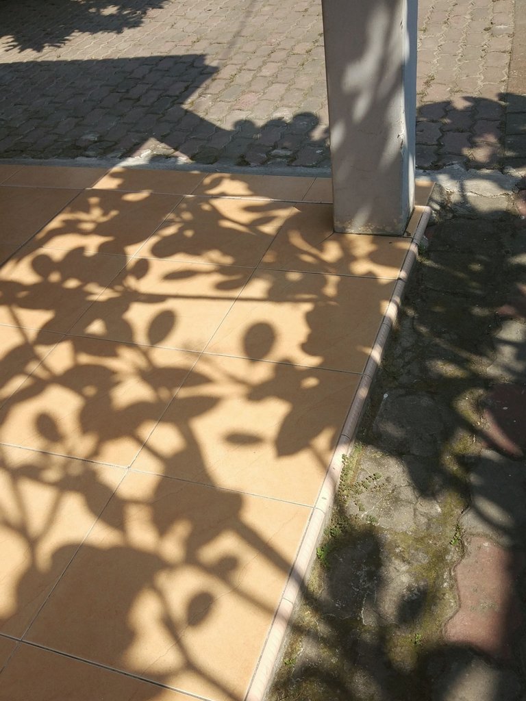 Shadows on the Porch 02.jpeg