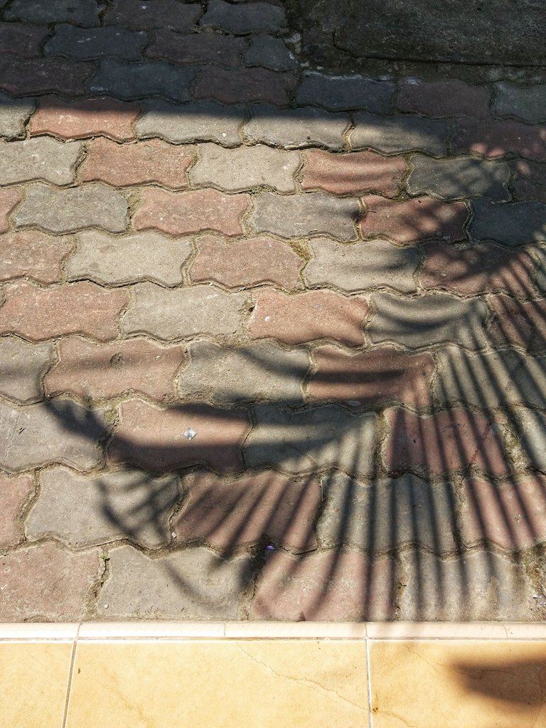 Shadows on the Porch 03.jpeg