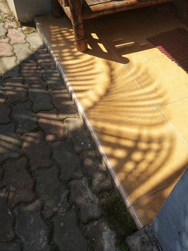 Shadows on the Porch 04.jpeg