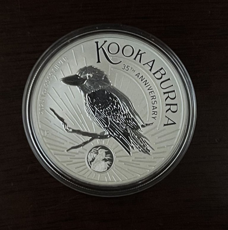 2025Kookaburra6.JPG