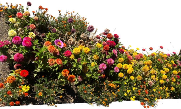 IMG_6635 B1.png