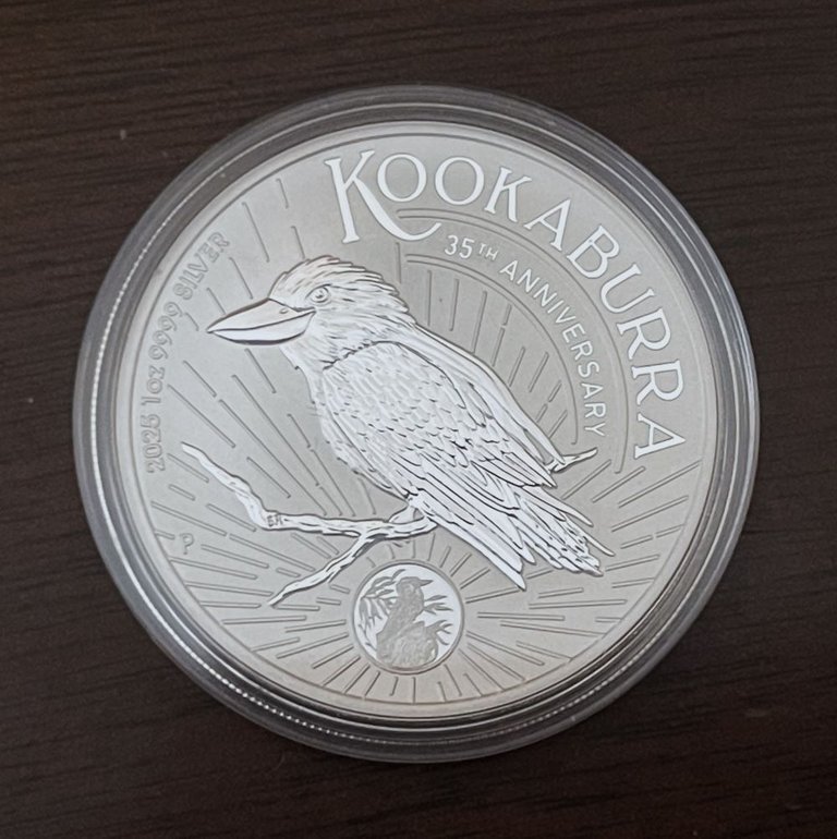 2025Kookaburra4.JPG