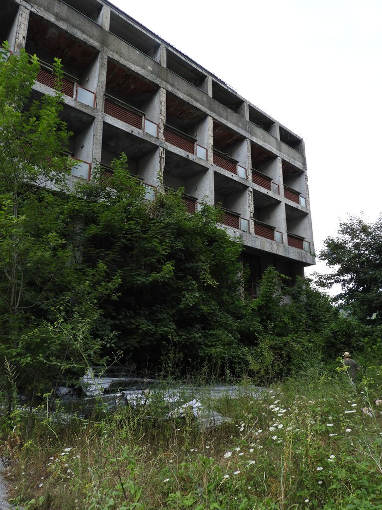 DSCN0544.JPG