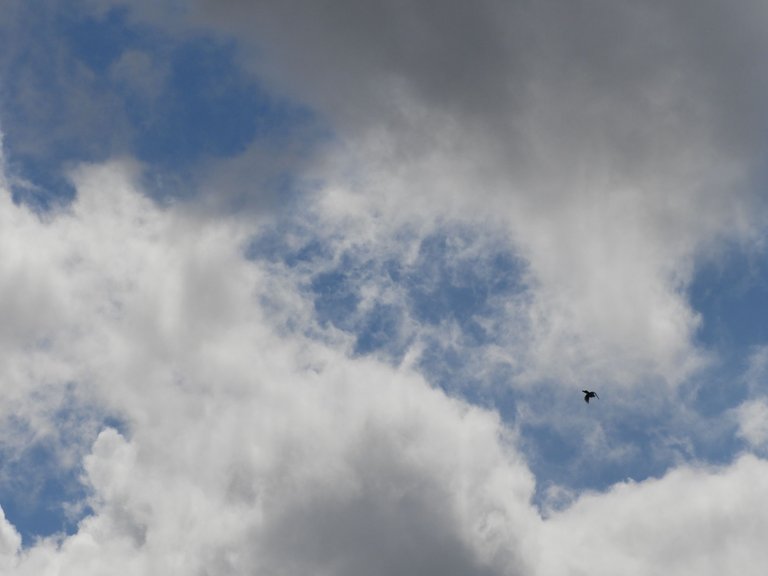 DSCN4114.JPG