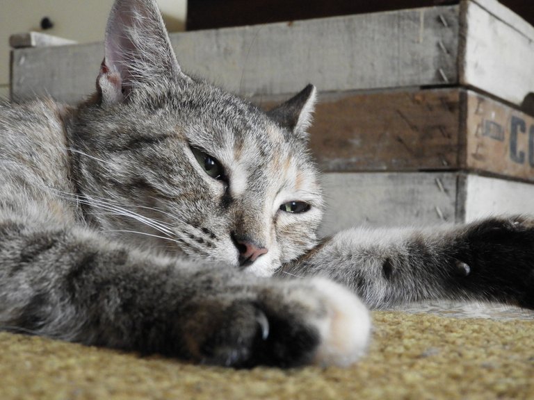 DSCN5583.JPG